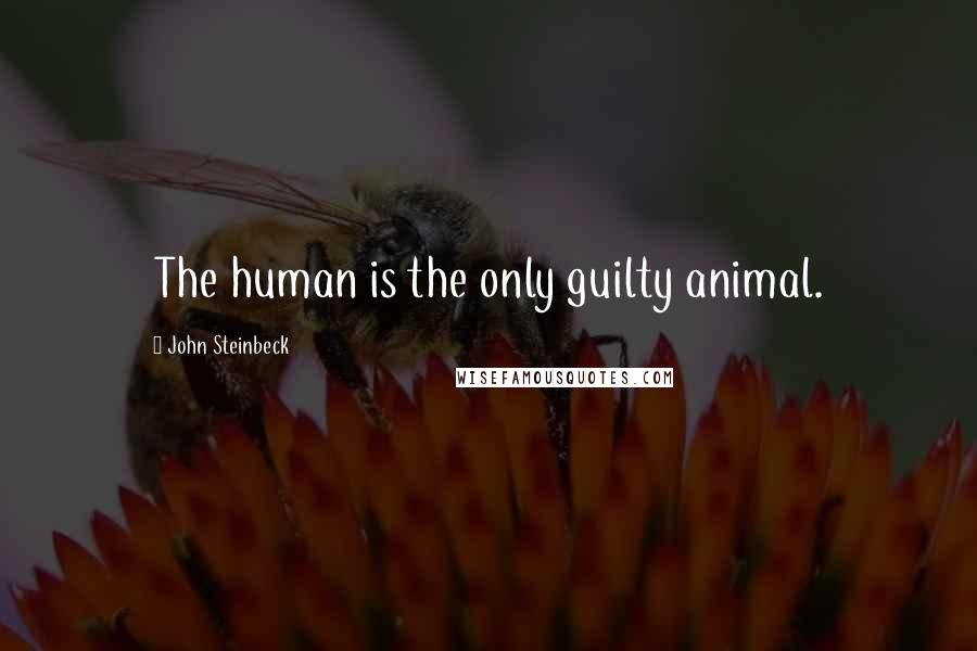 John Steinbeck Quotes: The human is the only guilty animal.