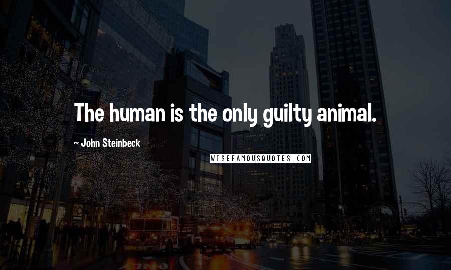 John Steinbeck Quotes: The human is the only guilty animal.