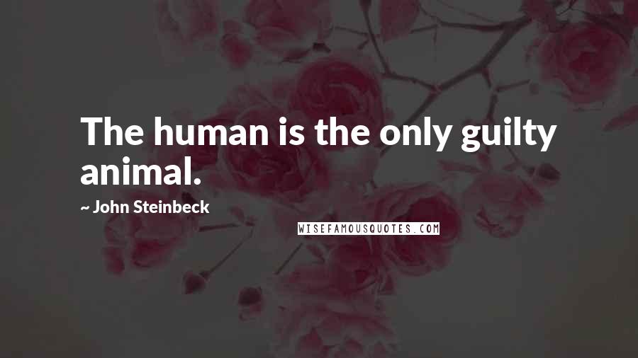 John Steinbeck Quotes: The human is the only guilty animal.