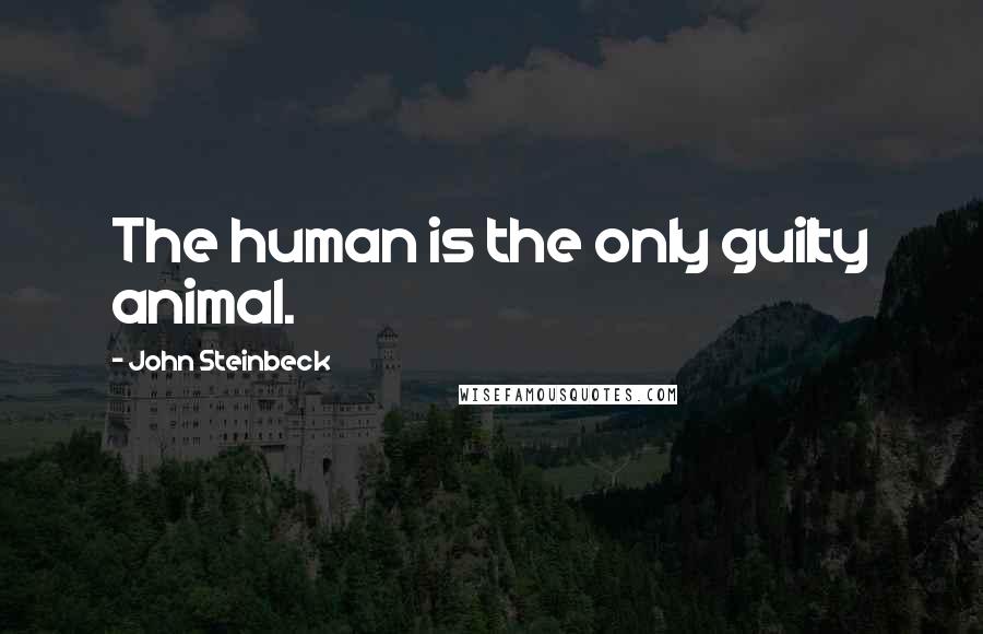 John Steinbeck Quotes: The human is the only guilty animal.