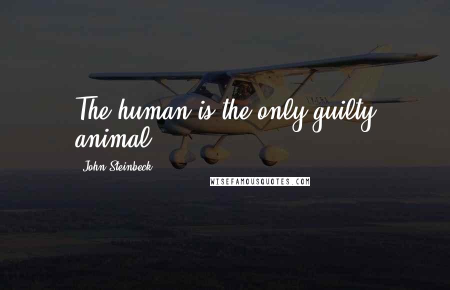 John Steinbeck Quotes: The human is the only guilty animal.