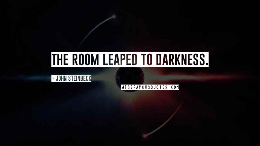 John Steinbeck Quotes: the room leaped to darkness.