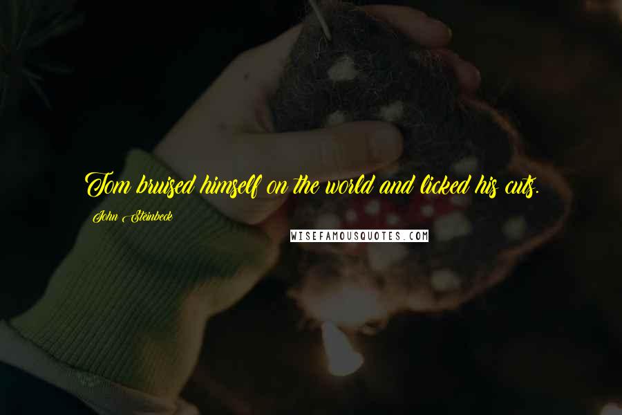 John Steinbeck Quotes: Tom bruised himself on the world and licked his cuts.