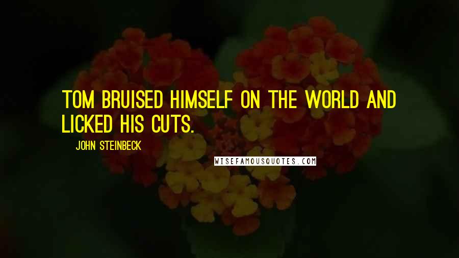 John Steinbeck Quotes: Tom bruised himself on the world and licked his cuts.