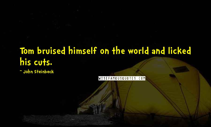 John Steinbeck Quotes: Tom bruised himself on the world and licked his cuts.