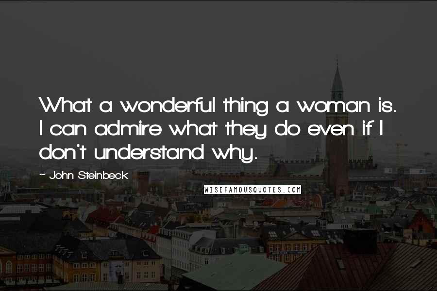 John Steinbeck Quotes: What a wonderful thing a woman is. I can admire what they do even if I don't understand why.