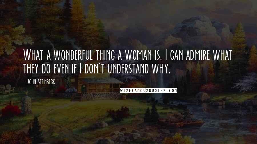 John Steinbeck Quotes: What a wonderful thing a woman is. I can admire what they do even if I don't understand why.