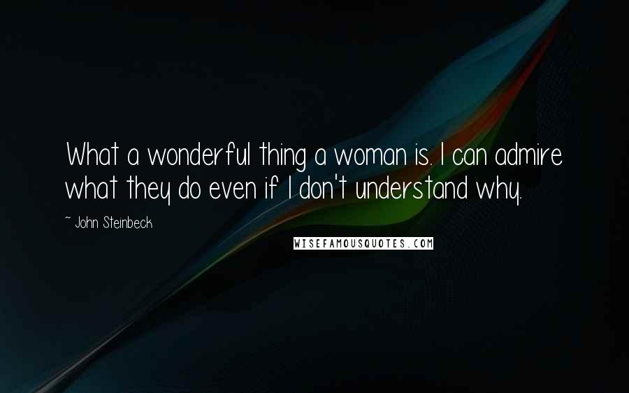 John Steinbeck Quotes: What a wonderful thing a woman is. I can admire what they do even if I don't understand why.