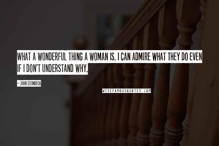 John Steinbeck Quotes: What a wonderful thing a woman is. I can admire what they do even if I don't understand why.