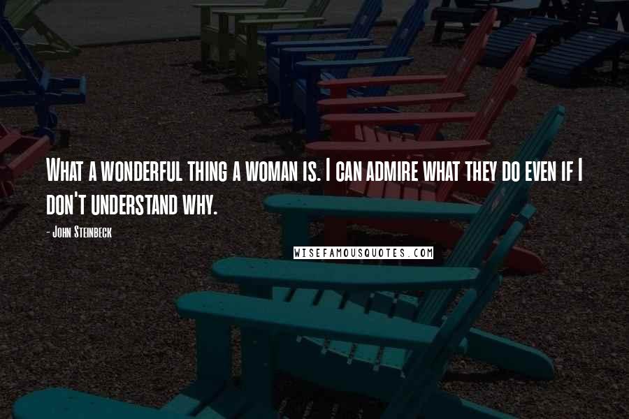 John Steinbeck Quotes: What a wonderful thing a woman is. I can admire what they do even if I don't understand why.