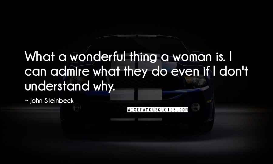 John Steinbeck Quotes: What a wonderful thing a woman is. I can admire what they do even if I don't understand why.