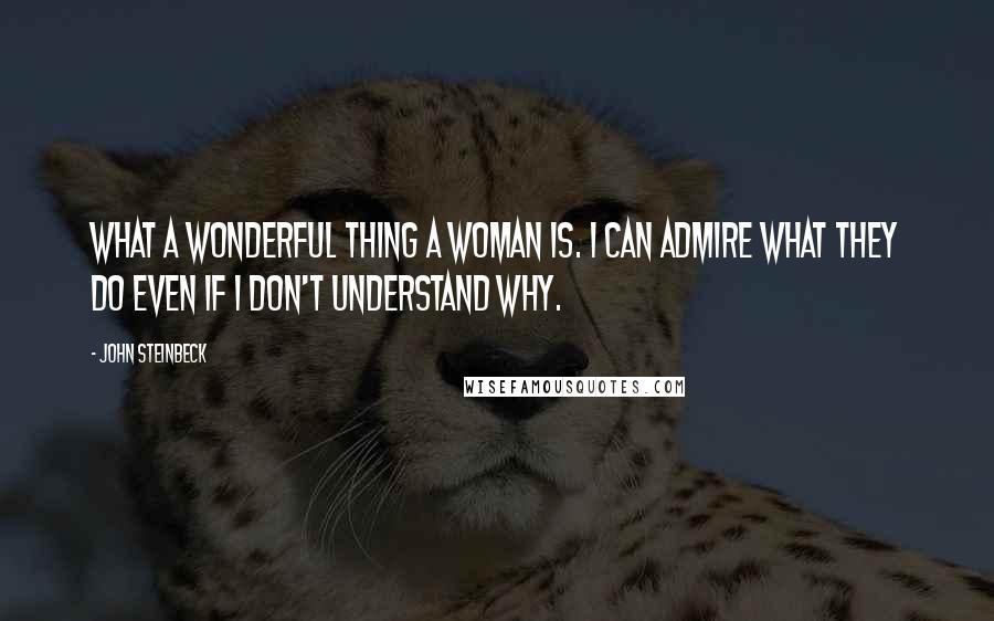 John Steinbeck Quotes: What a wonderful thing a woman is. I can admire what they do even if I don't understand why.