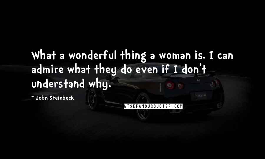 John Steinbeck Quotes: What a wonderful thing a woman is. I can admire what they do even if I don't understand why.