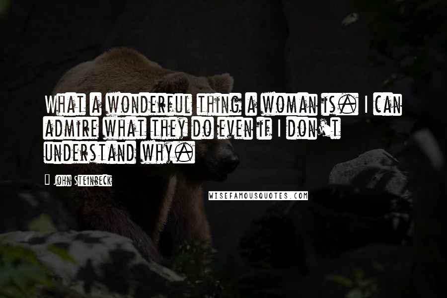 John Steinbeck Quotes: What a wonderful thing a woman is. I can admire what they do even if I don't understand why.