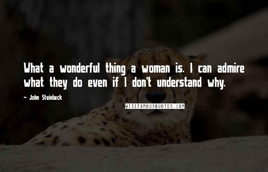 John Steinbeck Quotes: What a wonderful thing a woman is. I can admire what they do even if I don't understand why.