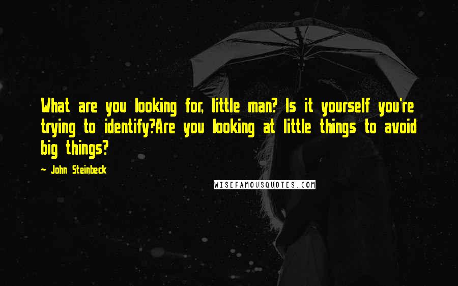 John Steinbeck Quotes: What are you looking for, little man? Is it yourself you're trying to identify?Are you looking at little things to avoid big things?