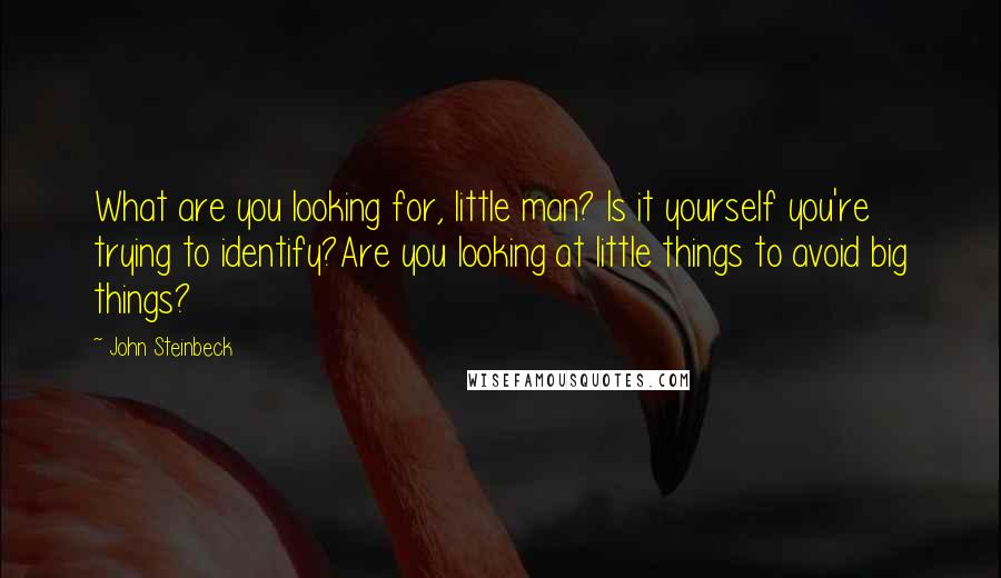 John Steinbeck Quotes: What are you looking for, little man? Is it yourself you're trying to identify?Are you looking at little things to avoid big things?