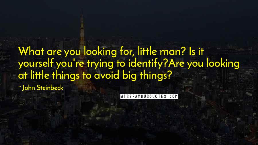 John Steinbeck Quotes: What are you looking for, little man? Is it yourself you're trying to identify?Are you looking at little things to avoid big things?