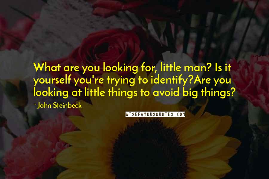 John Steinbeck Quotes: What are you looking for, little man? Is it yourself you're trying to identify?Are you looking at little things to avoid big things?