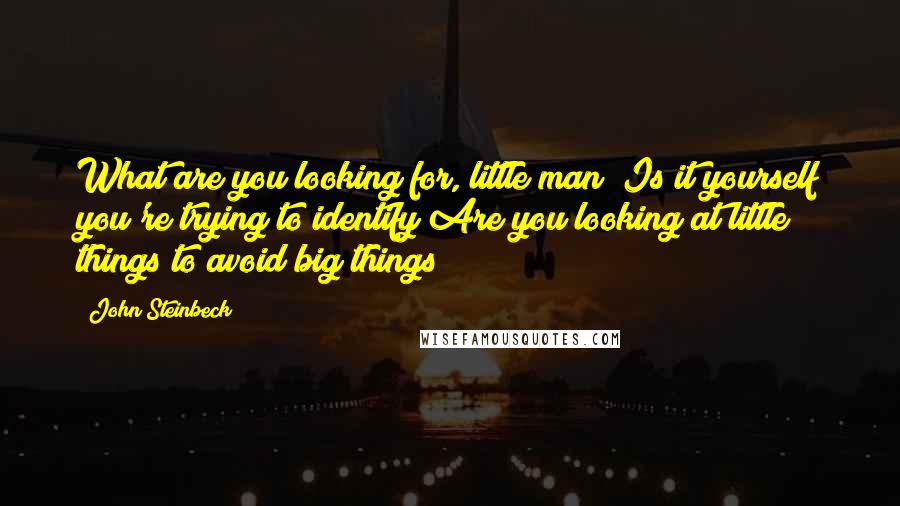 John Steinbeck Quotes: What are you looking for, little man? Is it yourself you're trying to identify?Are you looking at little things to avoid big things?