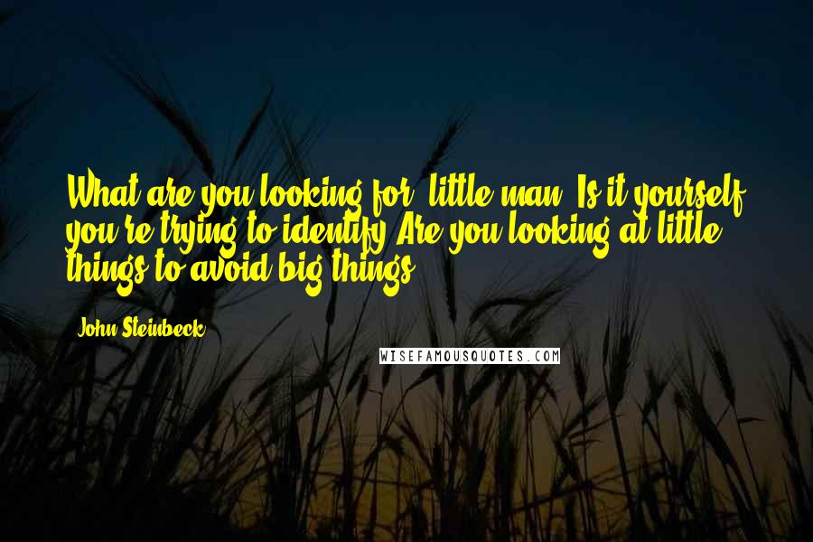 John Steinbeck Quotes: What are you looking for, little man? Is it yourself you're trying to identify?Are you looking at little things to avoid big things?