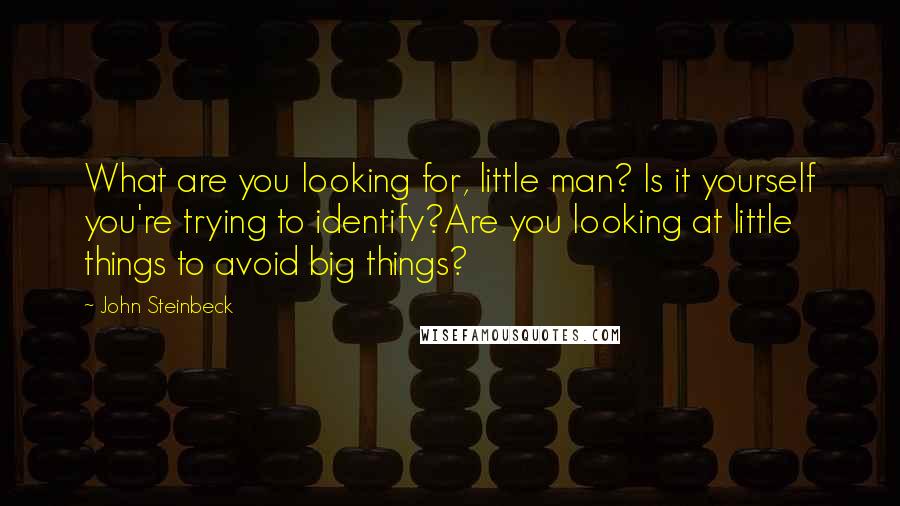 John Steinbeck Quotes: What are you looking for, little man? Is it yourself you're trying to identify?Are you looking at little things to avoid big things?