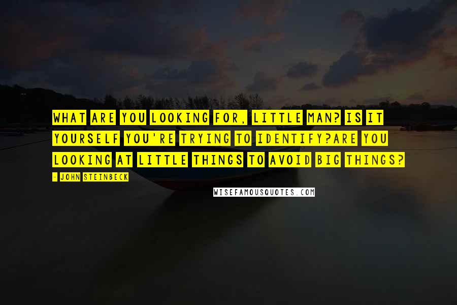 John Steinbeck Quotes: What are you looking for, little man? Is it yourself you're trying to identify?Are you looking at little things to avoid big things?