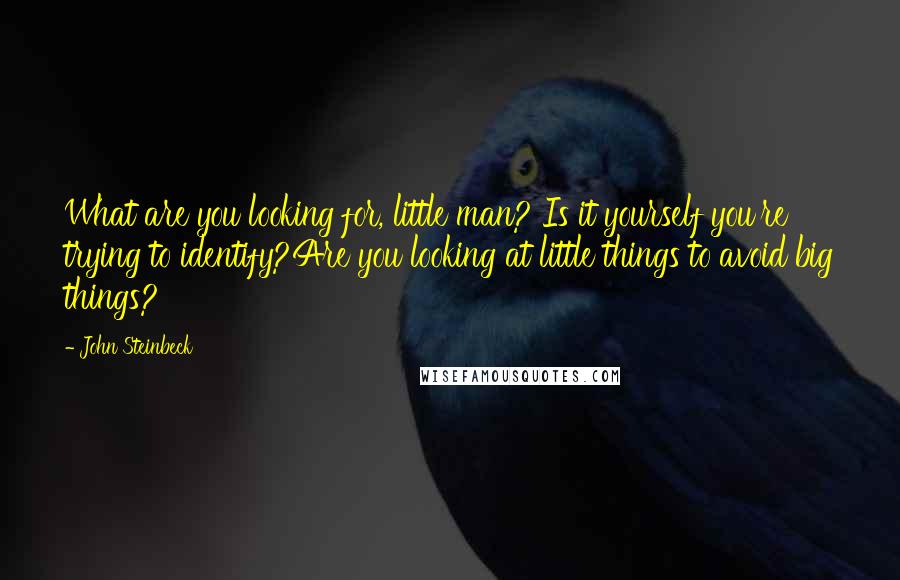 John Steinbeck Quotes: What are you looking for, little man? Is it yourself you're trying to identify?Are you looking at little things to avoid big things?