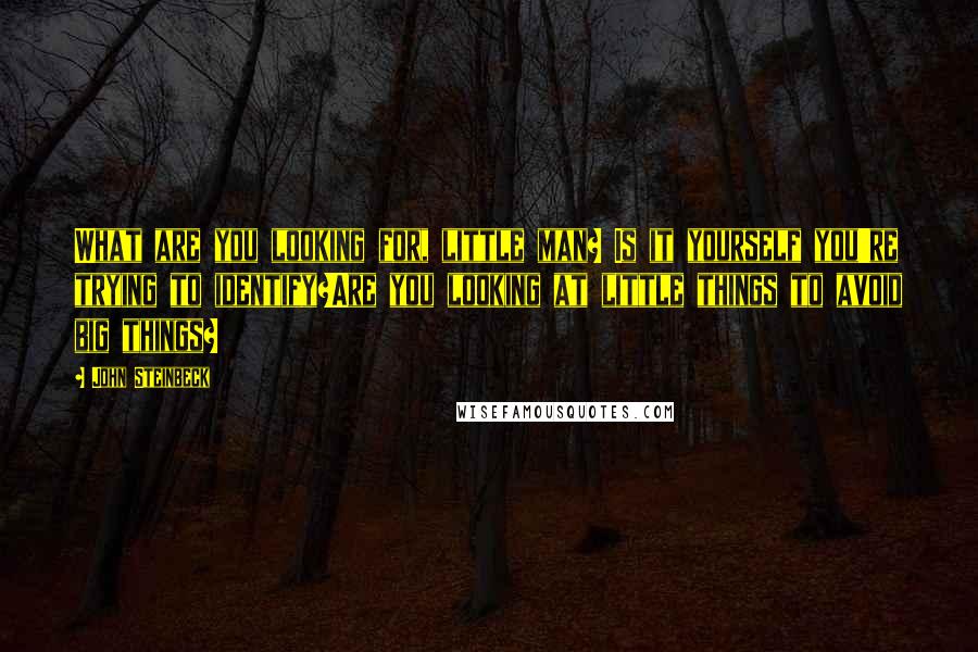 John Steinbeck Quotes: What are you looking for, little man? Is it yourself you're trying to identify?Are you looking at little things to avoid big things?