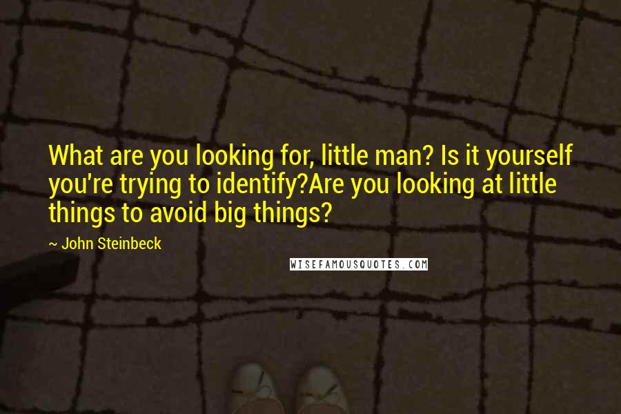 John Steinbeck Quotes: What are you looking for, little man? Is it yourself you're trying to identify?Are you looking at little things to avoid big things?