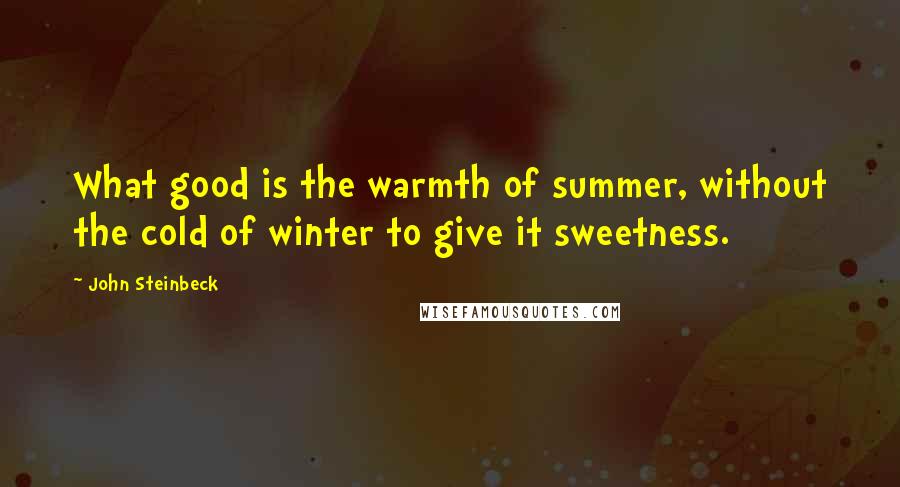 John Steinbeck Quotes: What good is the warmth of summer, without the cold of winter to give it sweetness.