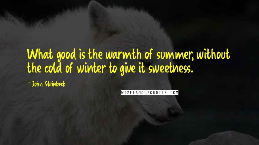 John Steinbeck Quotes: What good is the warmth of summer, without the cold of winter to give it sweetness.