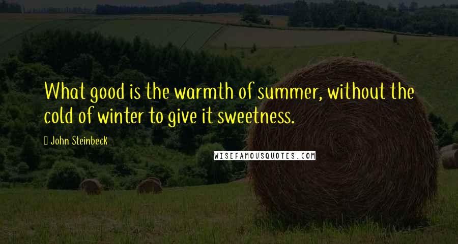 John Steinbeck Quotes: What good is the warmth of summer, without the cold of winter to give it sweetness.