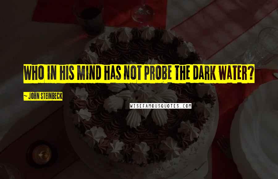 John Steinbeck Quotes: Who in his mind has not probe the dark water?