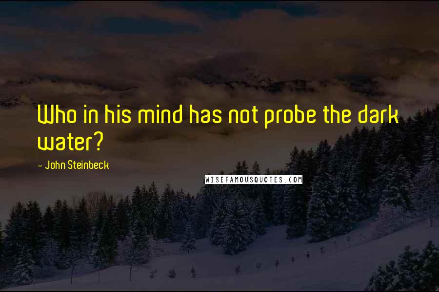 John Steinbeck Quotes: Who in his mind has not probe the dark water?