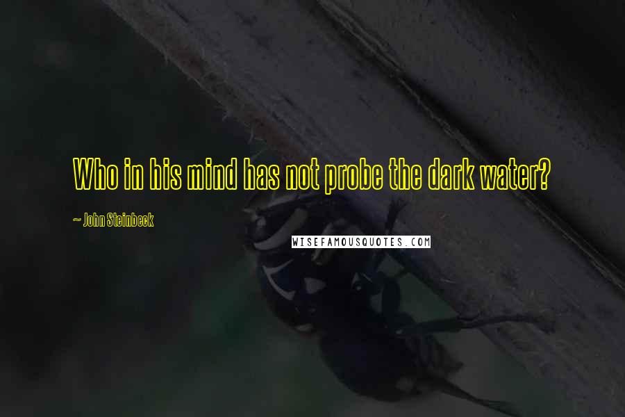 John Steinbeck Quotes: Who in his mind has not probe the dark water?