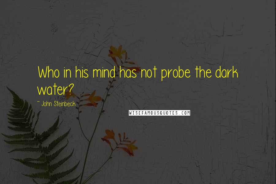 John Steinbeck Quotes: Who in his mind has not probe the dark water?