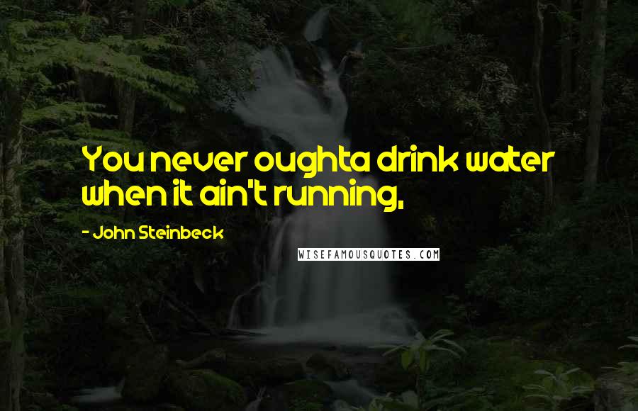 John Steinbeck Quotes: You never oughta drink water when it ain't running,