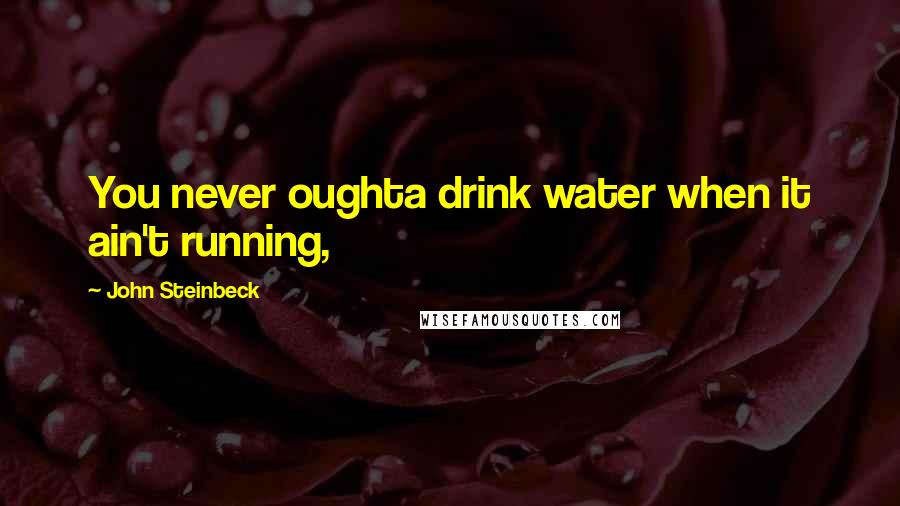 John Steinbeck Quotes: You never oughta drink water when it ain't running,