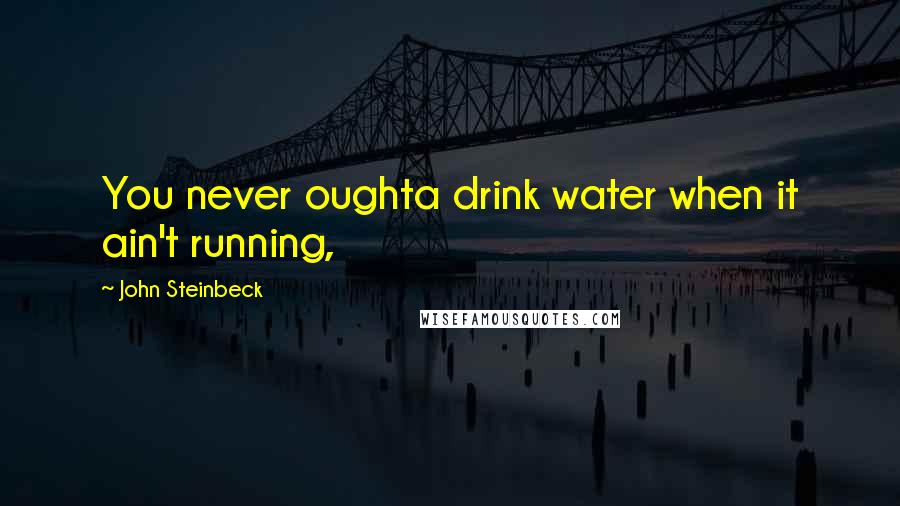 John Steinbeck Quotes: You never oughta drink water when it ain't running,