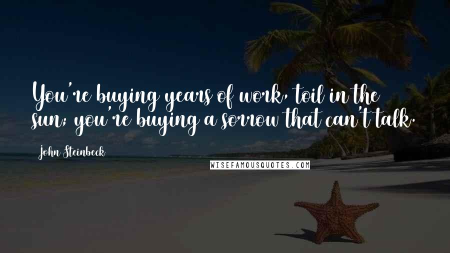 John Steinbeck Quotes: You're buying years of work, toil in the sun; you're buying a sorrow that can't talk.