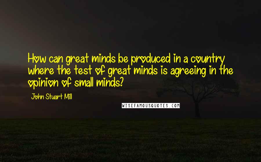 John Stuart Mill Quotes: How can great minds be produced in a country where the test of great minds is agreeing in the opinion of small minds?