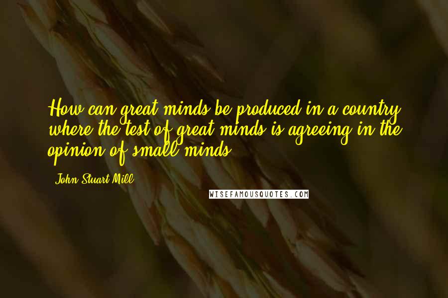 John Stuart Mill Quotes: How can great minds be produced in a country where the test of great minds is agreeing in the opinion of small minds?