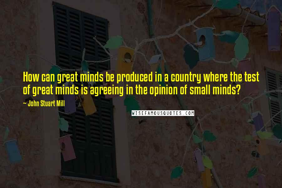 John Stuart Mill Quotes: How can great minds be produced in a country where the test of great minds is agreeing in the opinion of small minds?