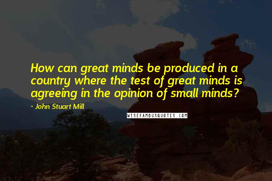 John Stuart Mill Quotes: How can great minds be produced in a country where the test of great minds is agreeing in the opinion of small minds?