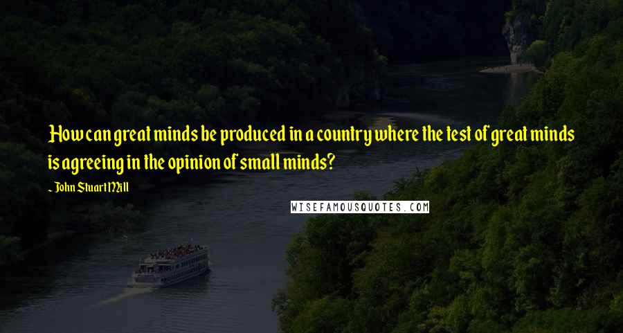 John Stuart Mill Quotes: How can great minds be produced in a country where the test of great minds is agreeing in the opinion of small minds?