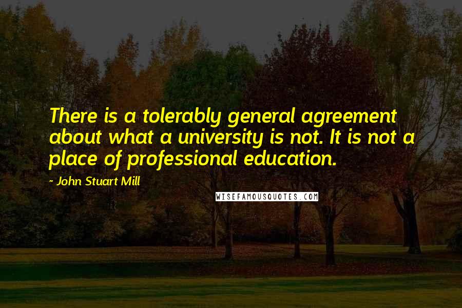 John Stuart Mill Quotes: There is a tolerably general agreement about what a university is not. It is not a place of professional education.