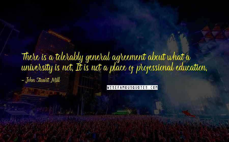 John Stuart Mill Quotes: There is a tolerably general agreement about what a university is not. It is not a place of professional education.