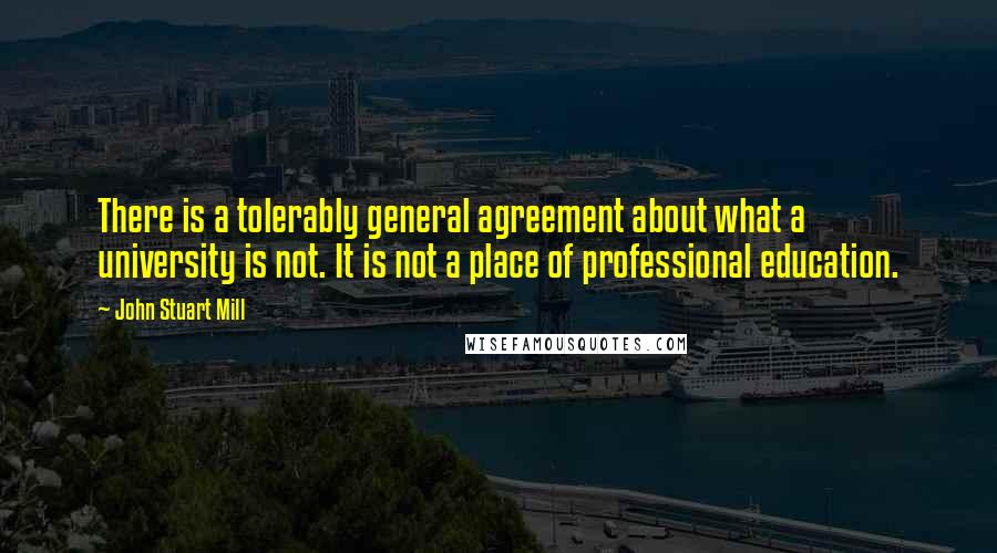 John Stuart Mill Quotes: There is a tolerably general agreement about what a university is not. It is not a place of professional education.
