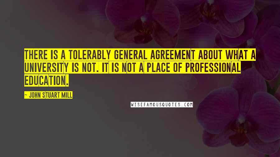 John Stuart Mill Quotes: There is a tolerably general agreement about what a university is not. It is not a place of professional education.